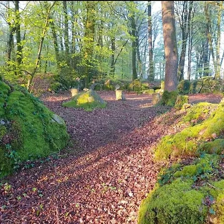 Private Basic Caravan *