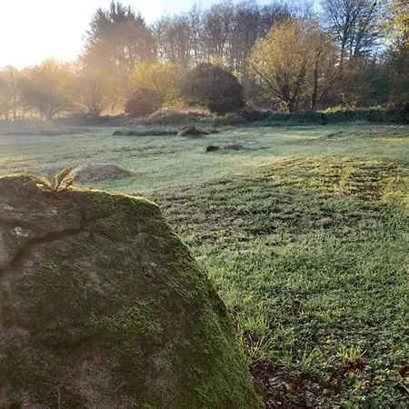 Private Basic Caravan