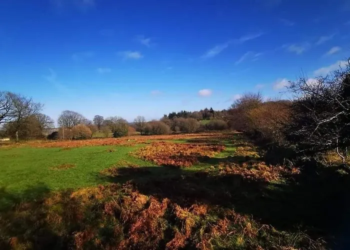 Фермерский дом Private Basic Caravan *