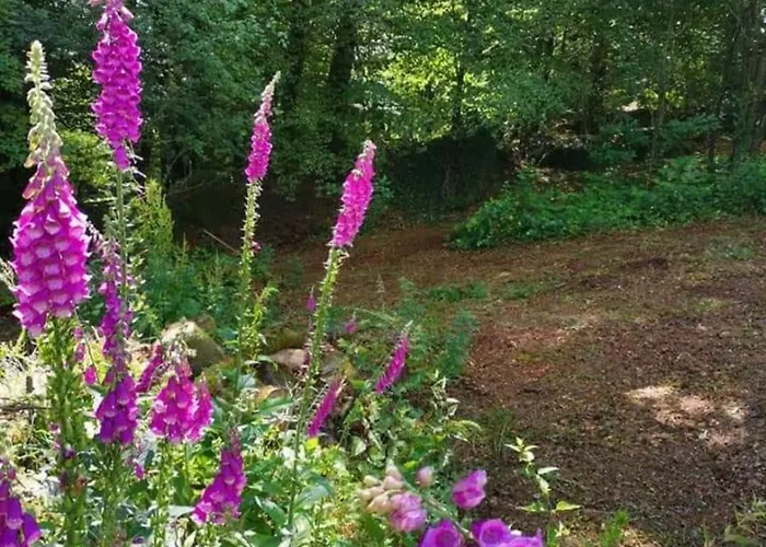 Private Basic Caravan Фермерский дом *